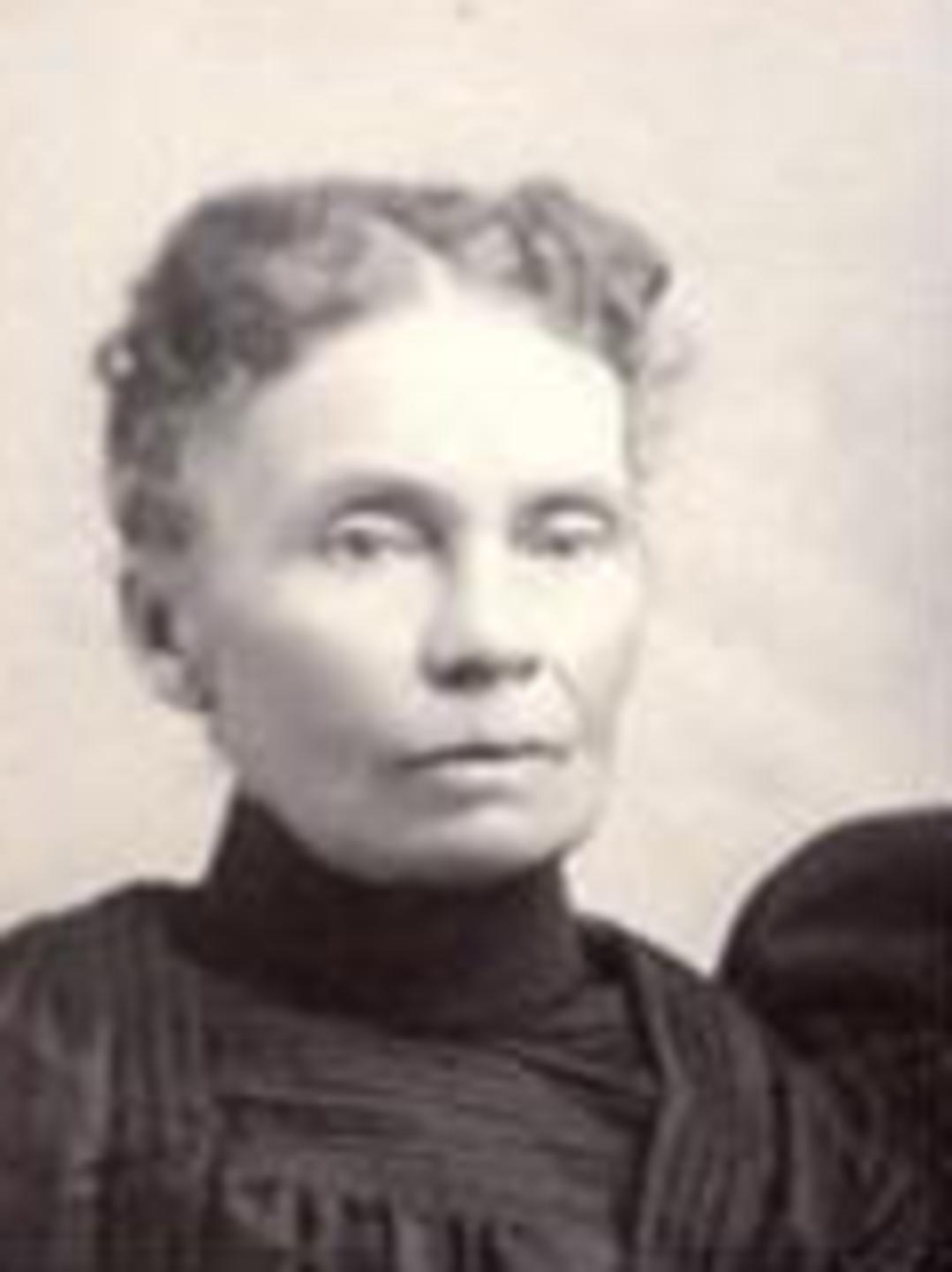 Dorcas Terry (1838 - 1913) Profile